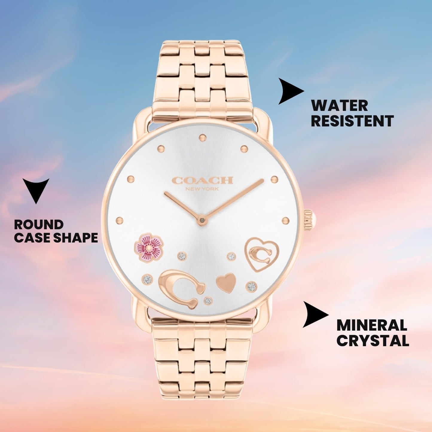 Coach Analog Silver Dial Women's Watch-coach14504285