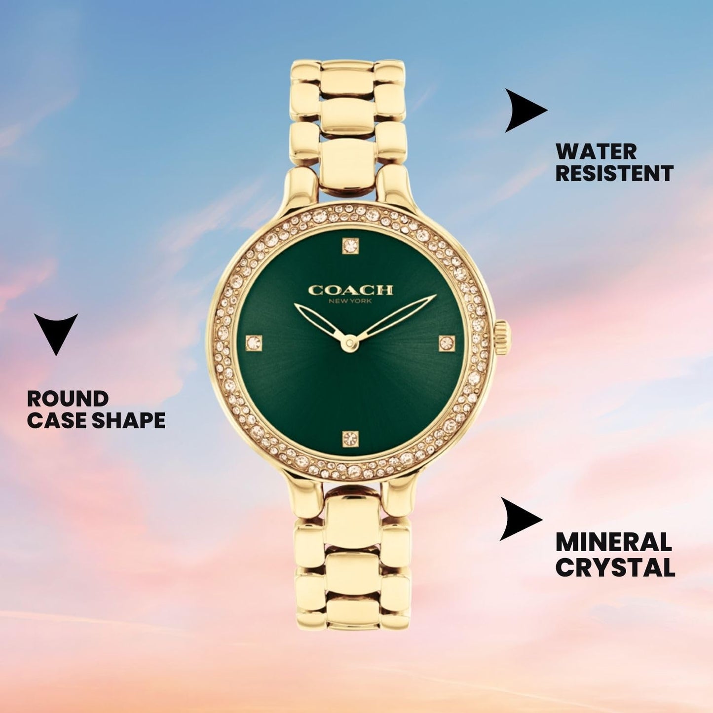COACH Women Chelsea Qtz Basic Green Round Dial Analog Watch|Ionic Plated Thin Gold Steel Material|Gold Color Band - 14504251