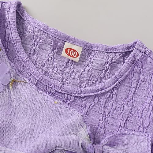 Hopscotch Girls Lavender Full Sleeves Bow Applique A-Line Dress for Age (7-8 Years)
