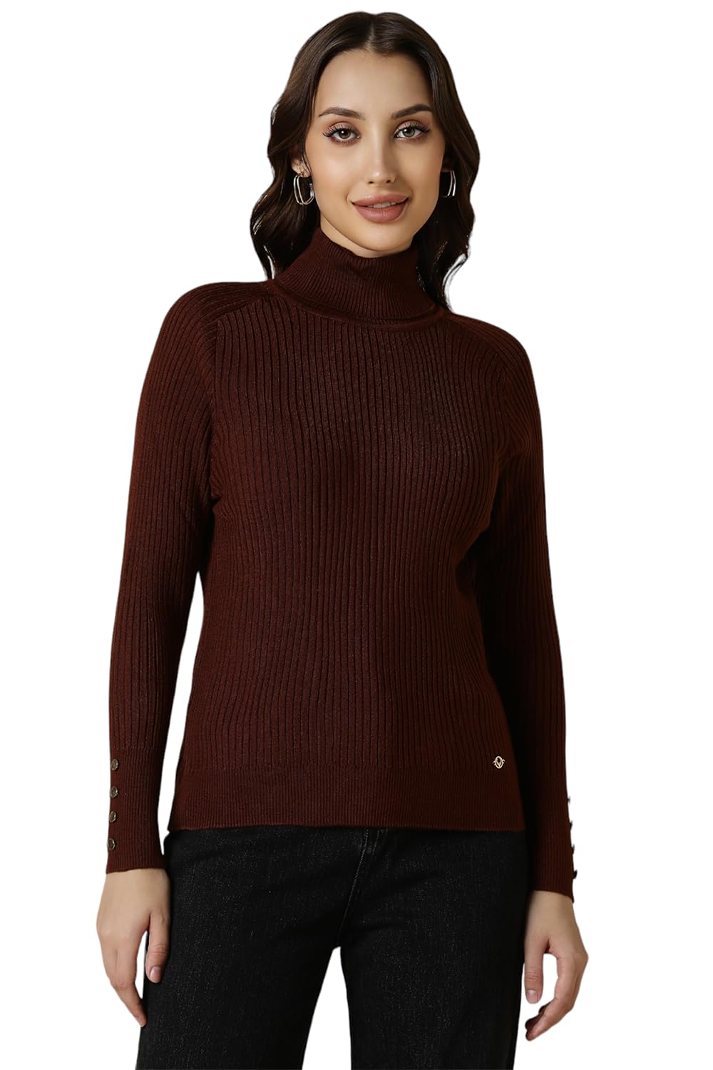 Allen Solly Women Brown Stripe Turtle Neck Casual Sweater