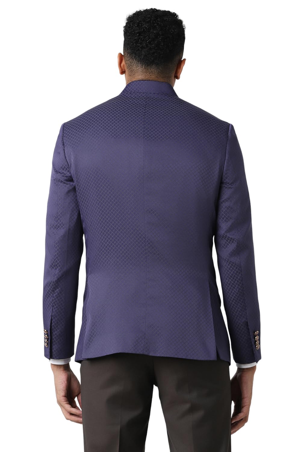 Van Heusen Men's Blazer (VHBZCSLFD35538_Purple