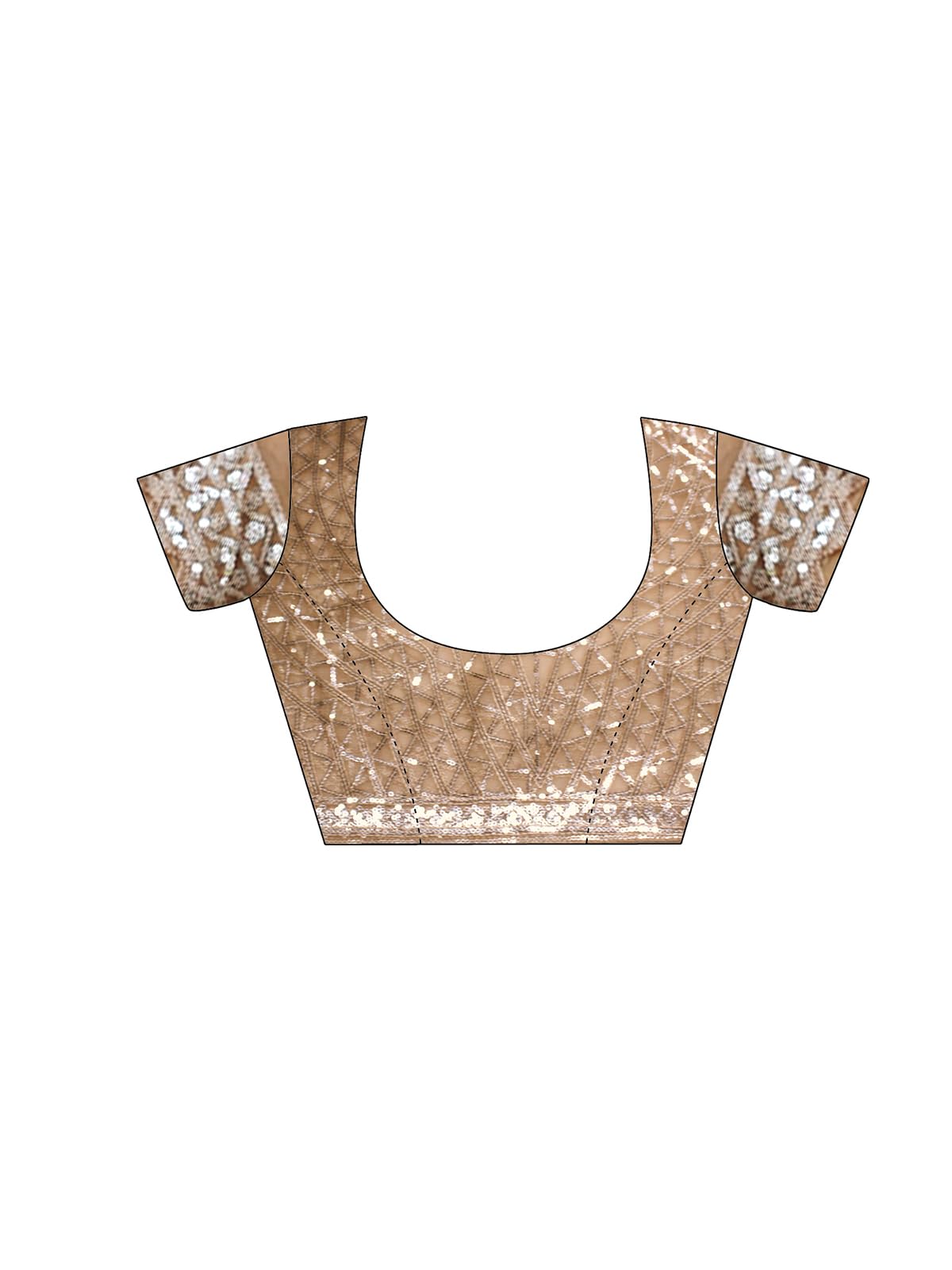 Satrani Women's Net Scalloped Border Sequin Embroidery Saree with Unstitched Blouse Piece (4633S124N_Dark Beige)