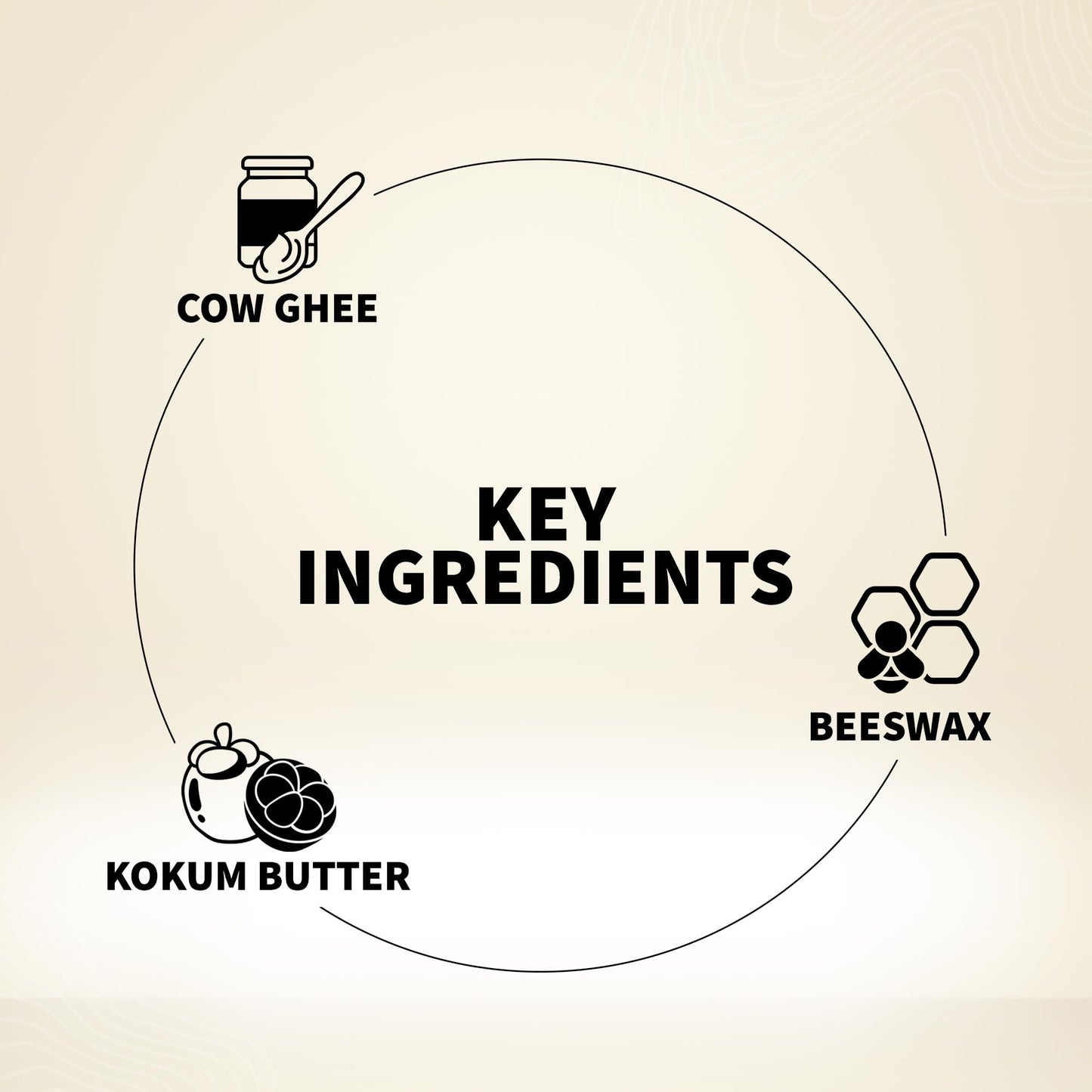 Barva Natural & Moisturising Lipsticks Made Using Pure Ghee, Kokum Butter And Mineral Colours, 4.3g (Wine Red 616)