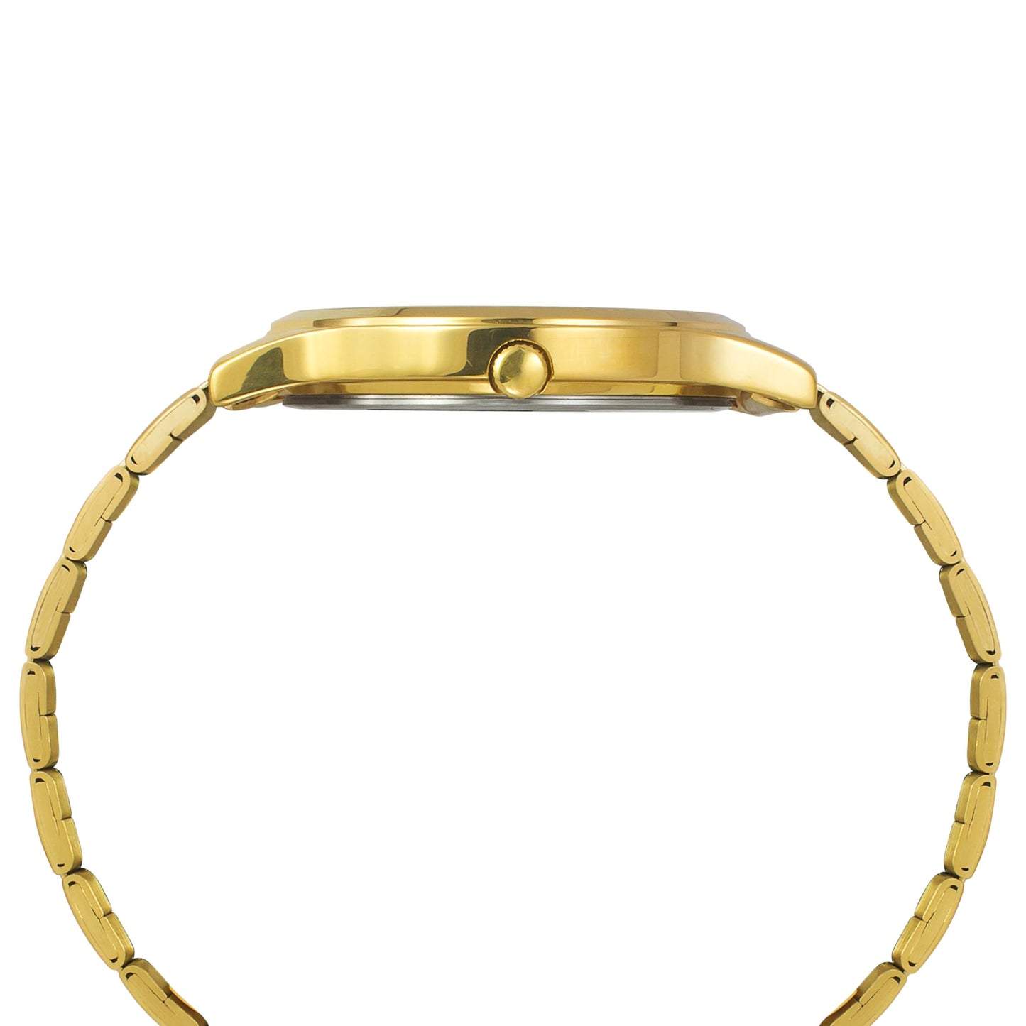 TIMEX Analog Watch for Man with Green Round Dial & Gold Stainless Steel Bracelet Band Water Resistant Men's Wrist Watches - TW000R462