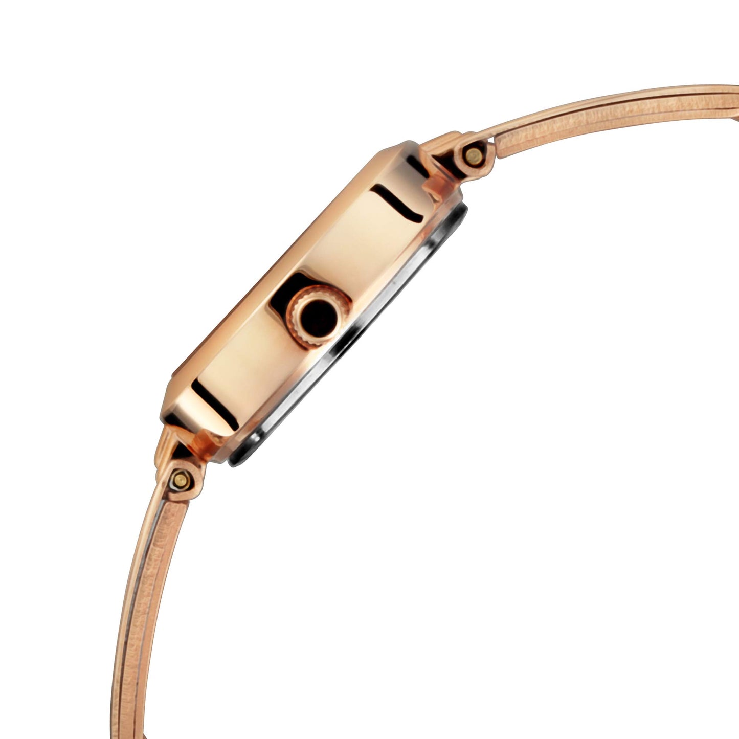 Titan Quartz Analog Silver Dial Metal Strap Watch for Women-NS2598WM01/NT2598WM01