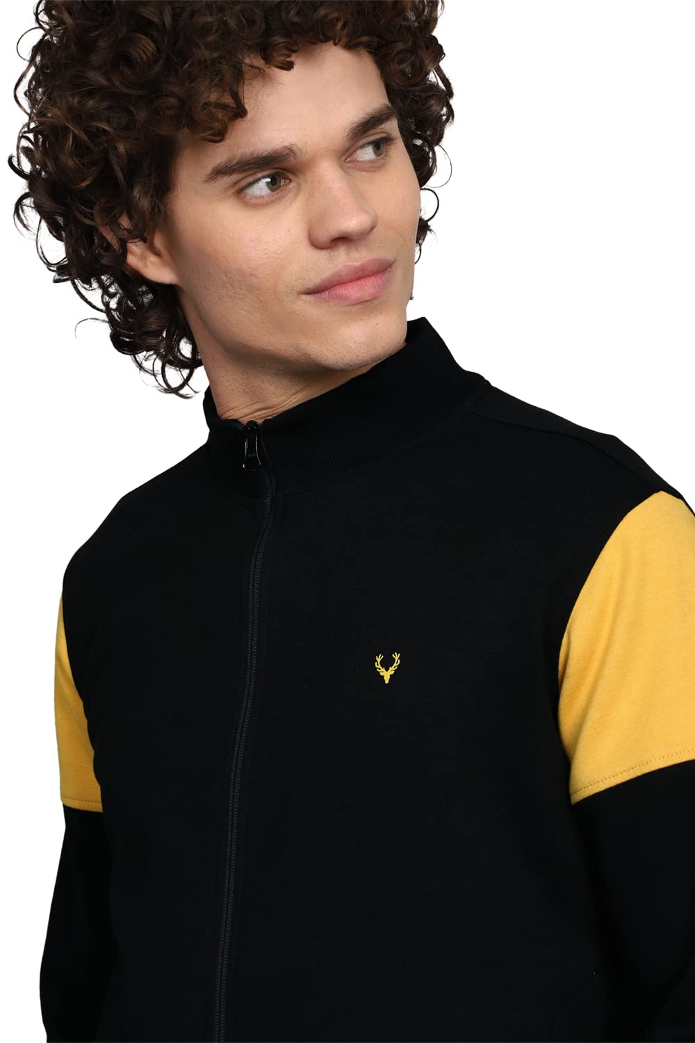 Allen Solly Men Cotton Crew Neck Casual Sweatshirt Light Green(Asstforgfi37917) XL