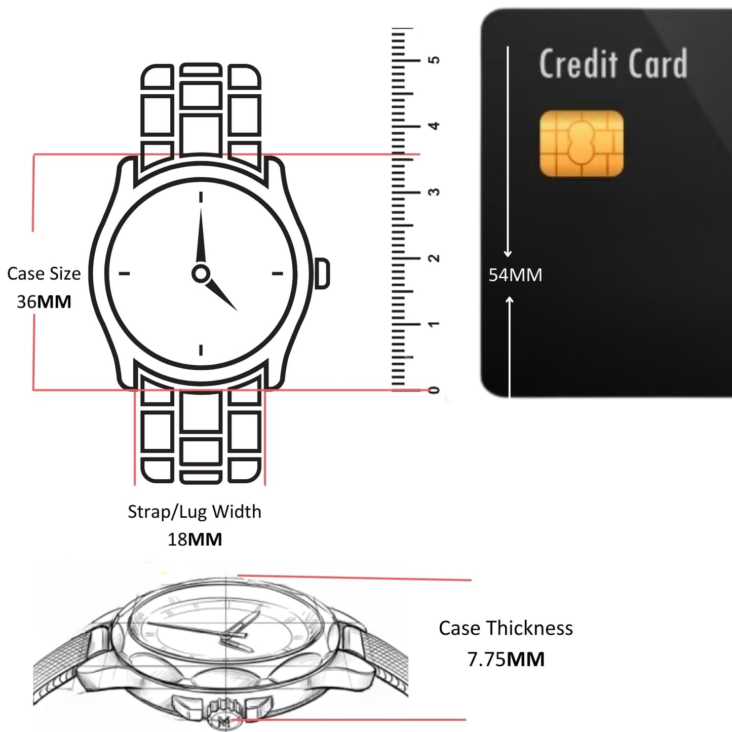 Coach Elliot Qtz Basic Silver White Round Dial Women's Analog Watch|Ionic Plated Rose Gold Steel Material|Gold Color Band - 14504293