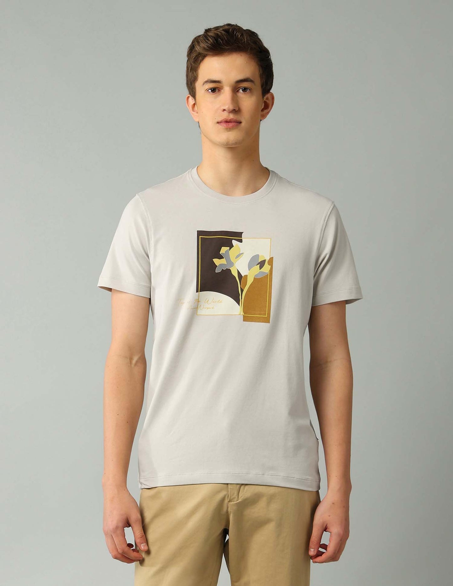 Arrow New York Men's Regular Fit T-Shirt (ANAJTS3114_Stone