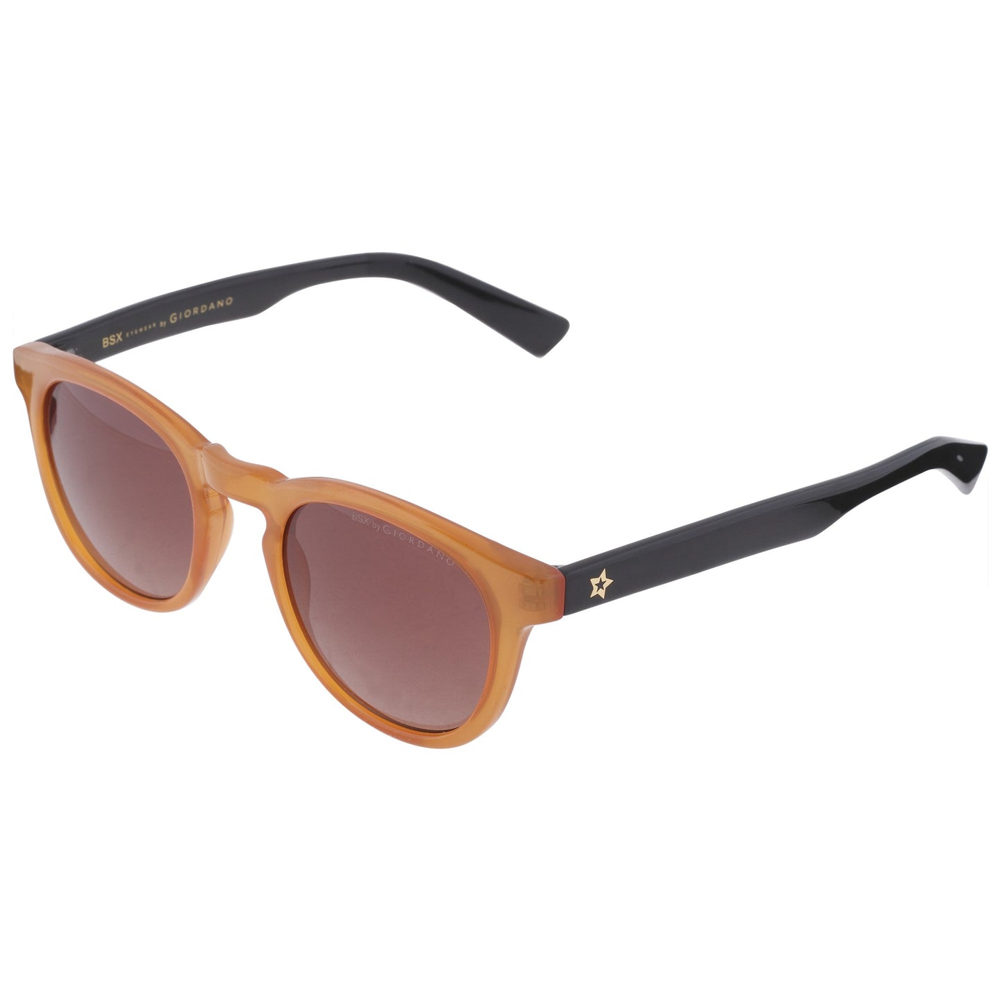 Giordano UV Protected Oval Unisex Sunglasses (BSS802C004|53|Brown lens)