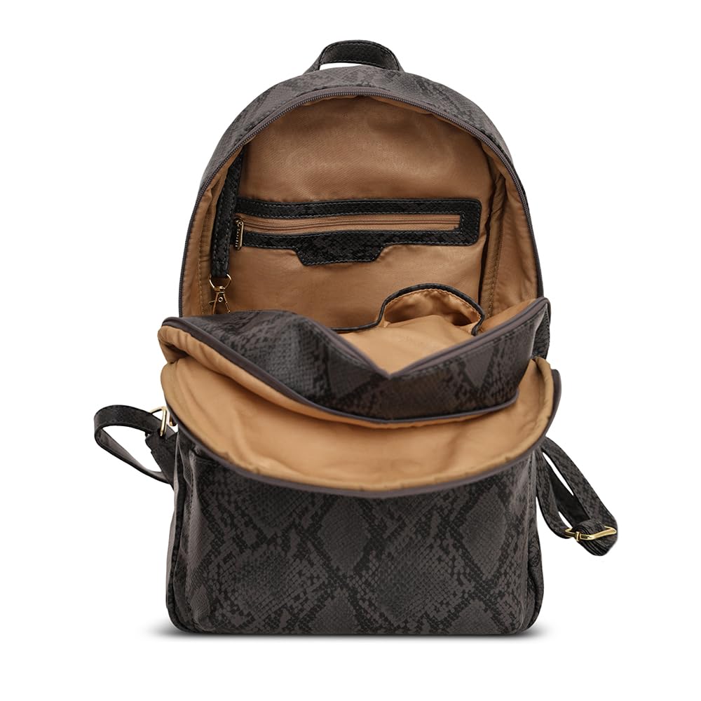 Caprese Cosmos Fashion Backpack for Women (Medium, Grey)