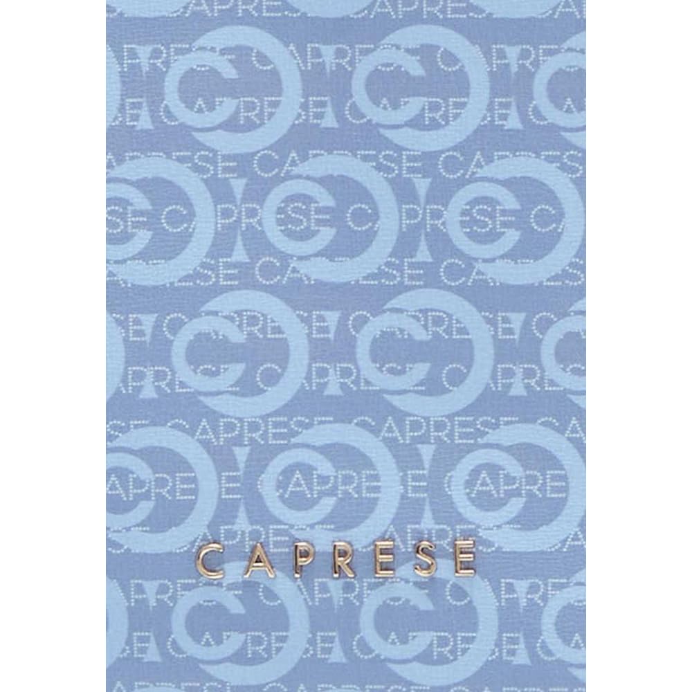 Caprese CLEO LAPTOP BACKPACK LARGE POWDER BLUE