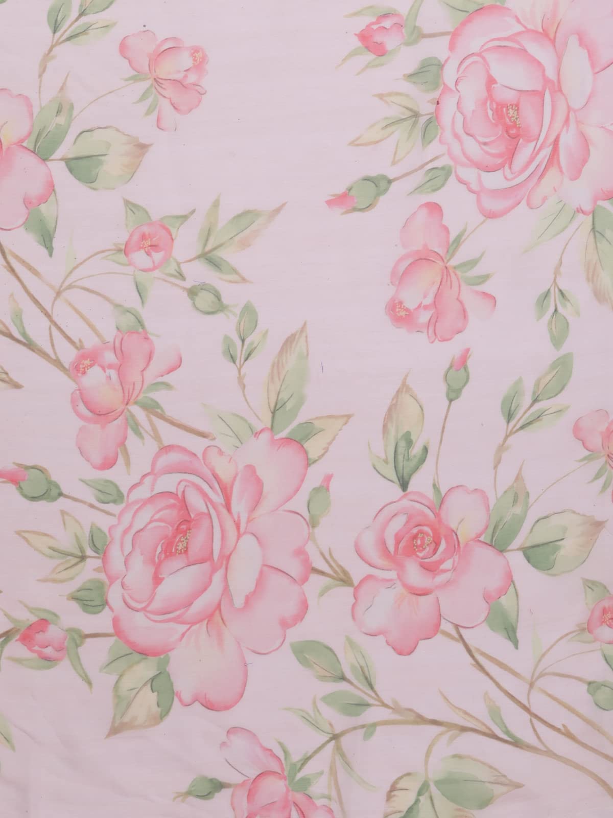 Ahalyaa Women's Baby Pink Colour Chiffon Digital Print Saree (AHSRBL-UN-2)