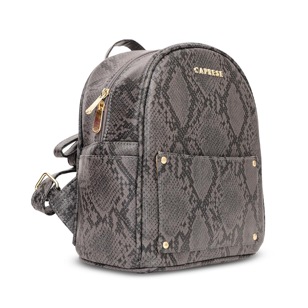 Caprese Canes Fashion Backpack for Women (Small, Grey)