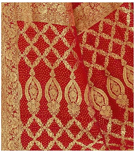 Laxmipati Red Chiffon with Golden Jacquard Weave Saree