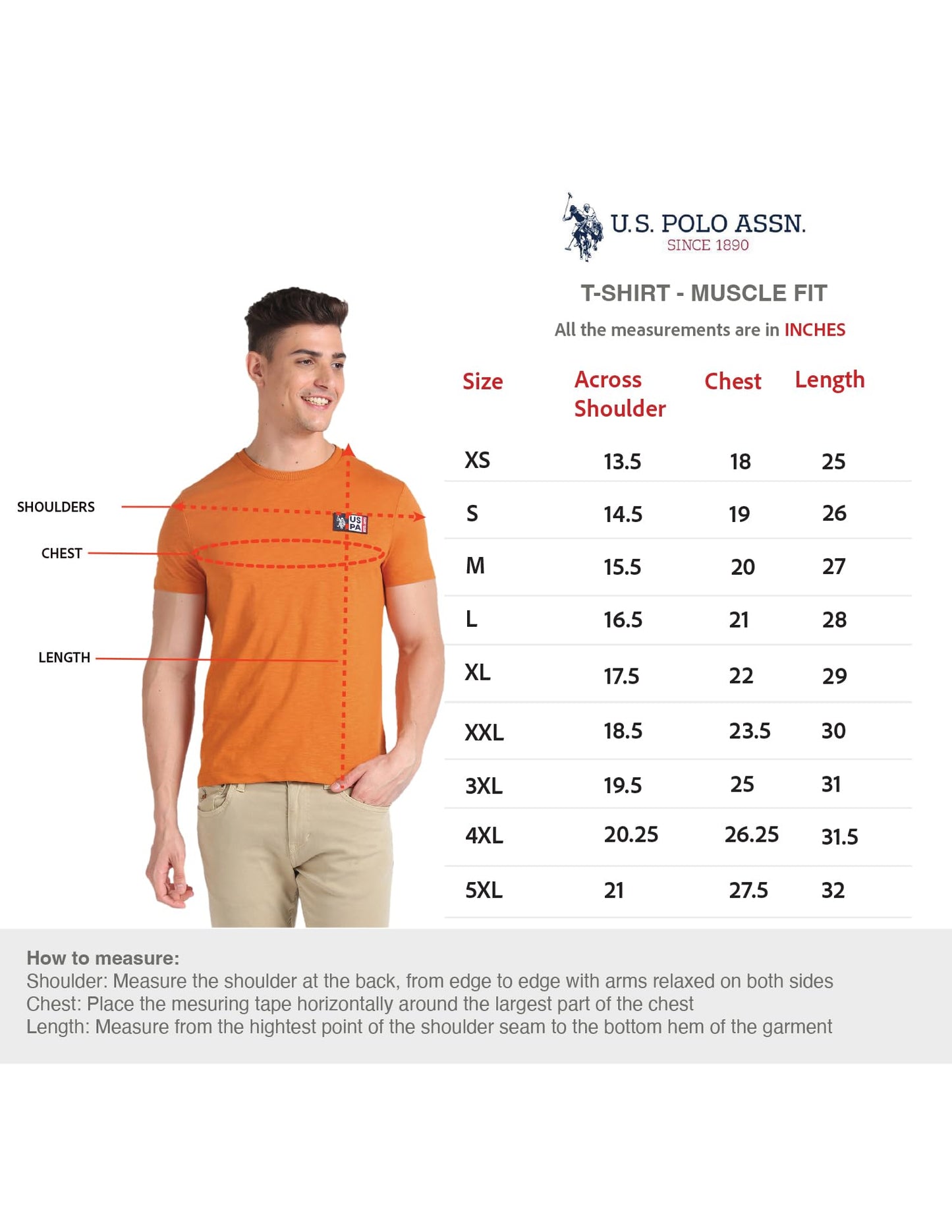 U.S. POLO ASSN. Men's Crew Neck Long Sleeve Brand Print Cotton T-Shirt (USTSHS1388_Grey_L)