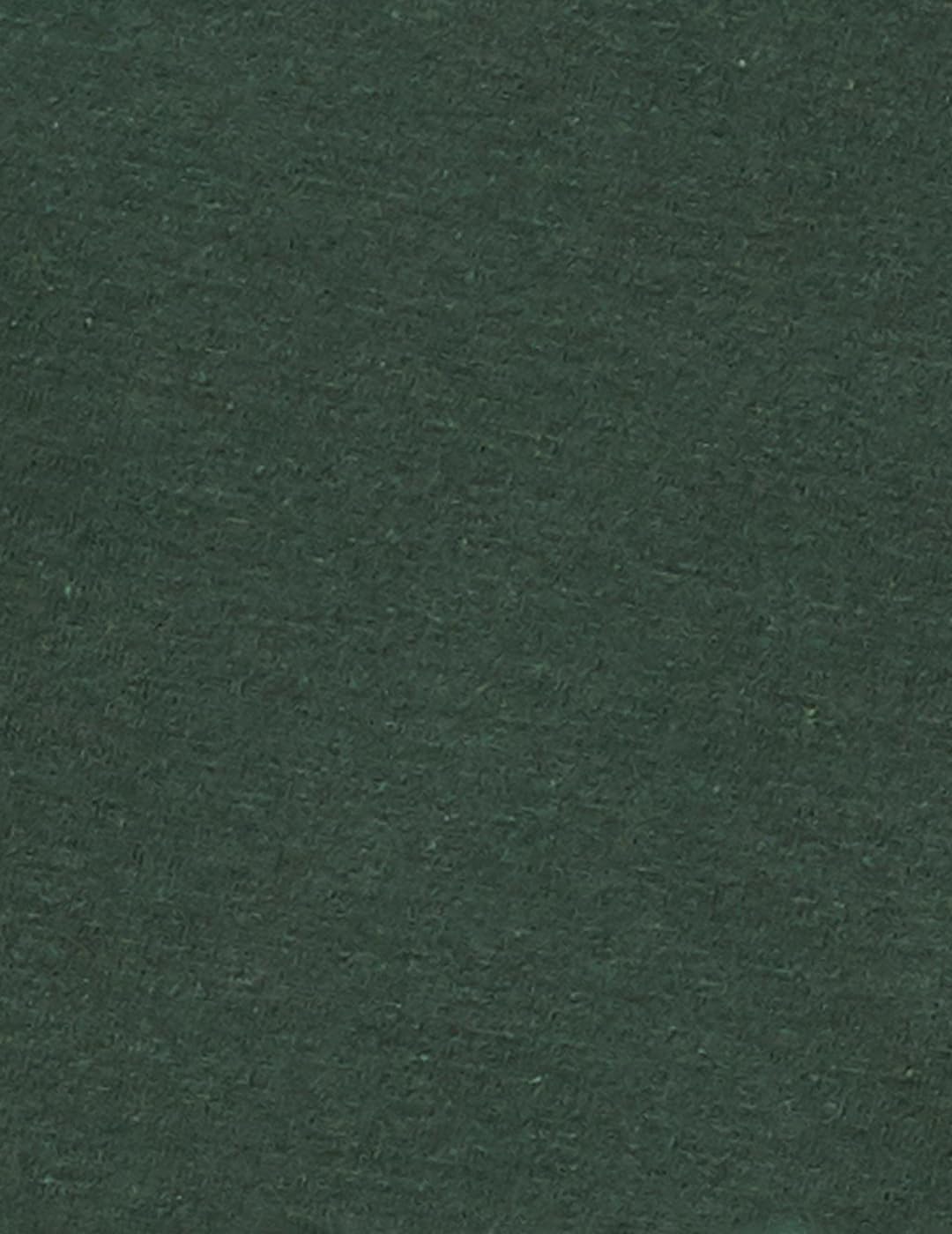 Max Men's Cotton Slim Fit T-Shirt (CABCSU23P518BGDARK Green_Dark, Large