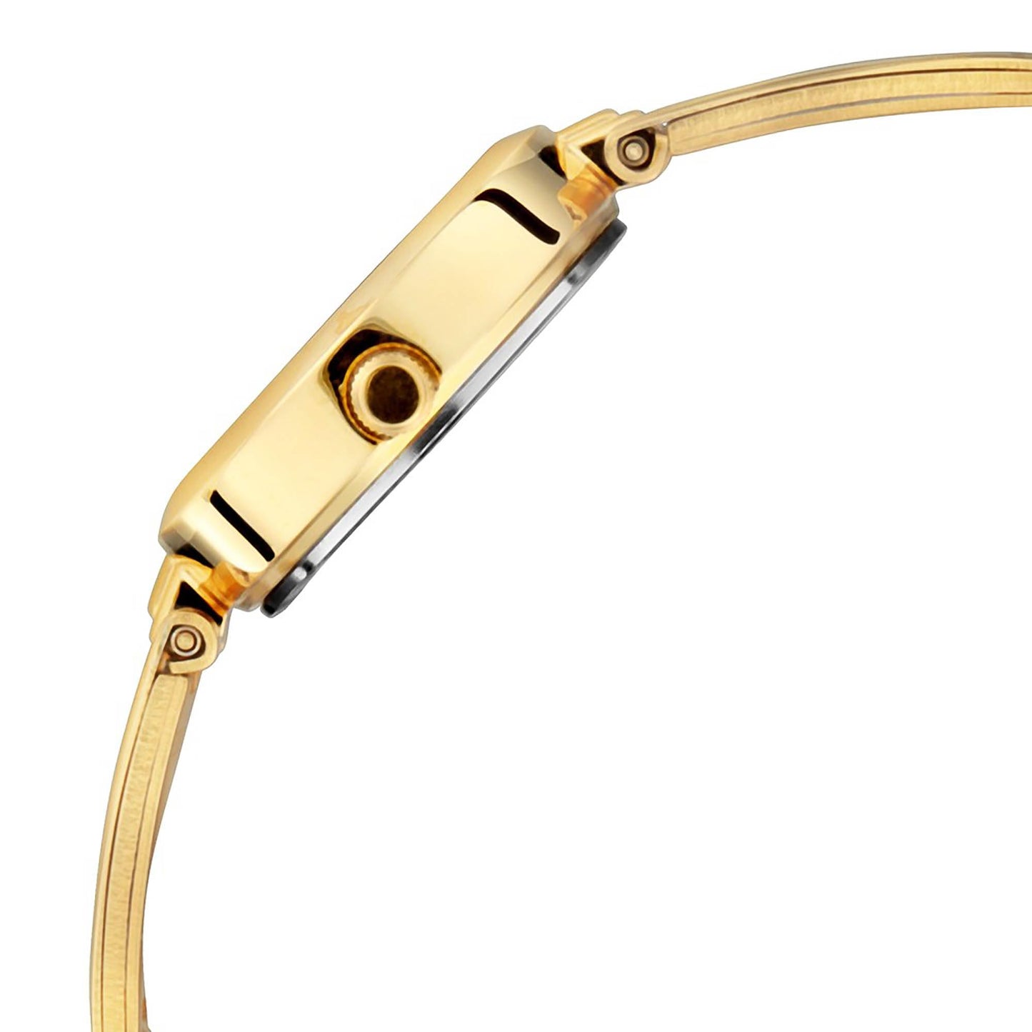 Titan Karishma Analog Silver Dial Women's Watch NM2598YM02/NN2598YM02