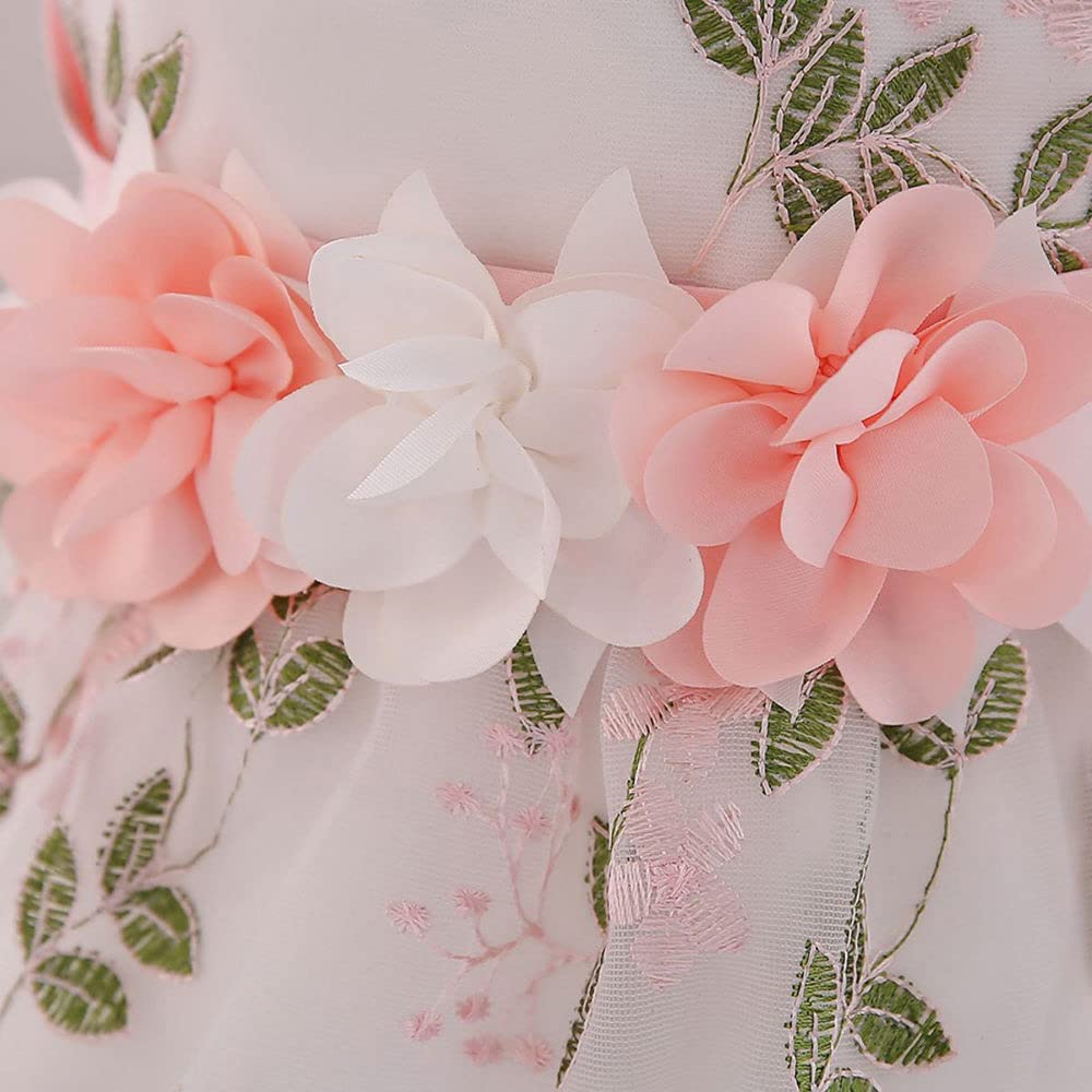 Hopscotch Girls Floral Applique Party Dress In Peach Color for Ages 3-4 Years