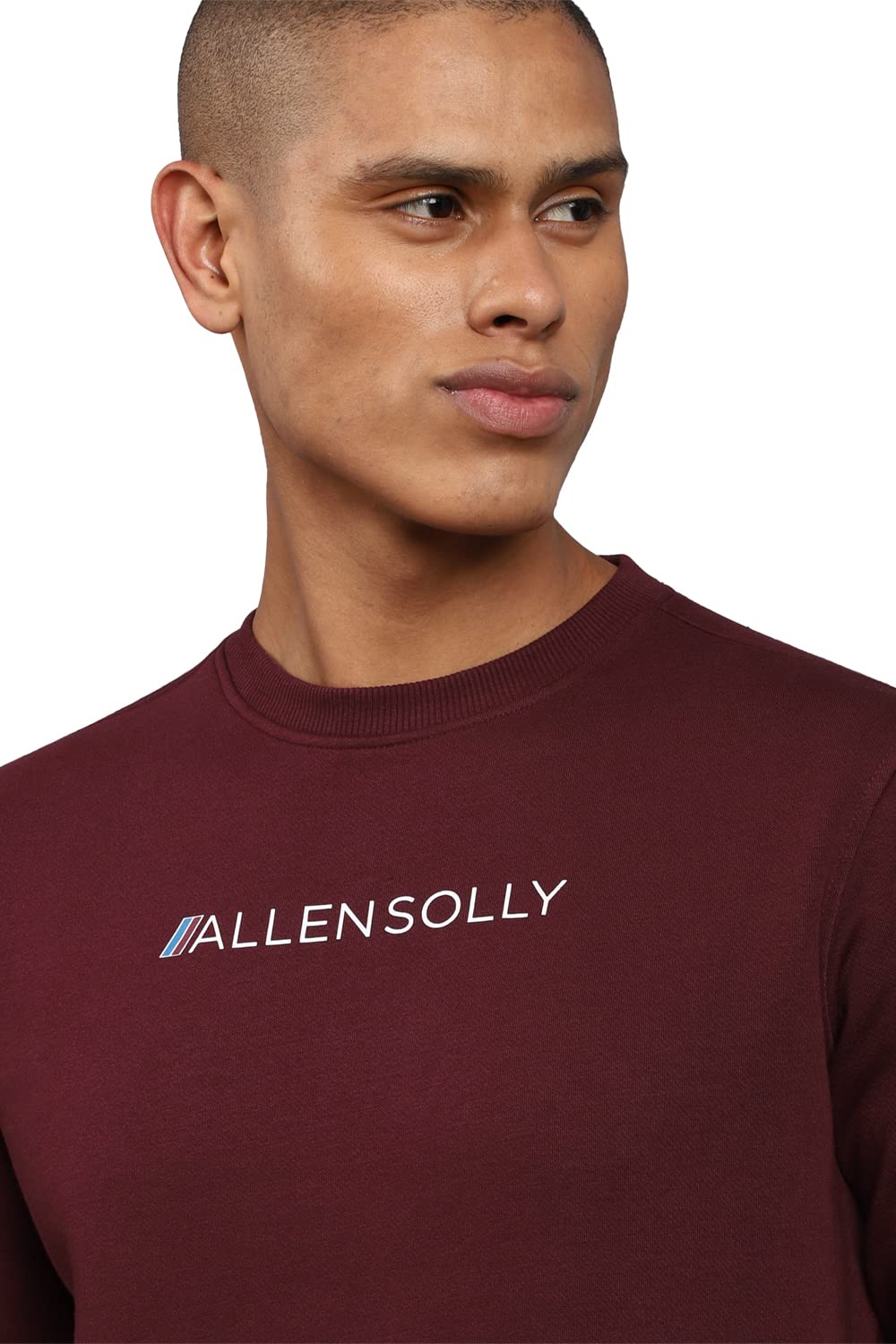 Allen Solly Men Casual Crew Neck, Regular Cotton Sweatshirt Pink