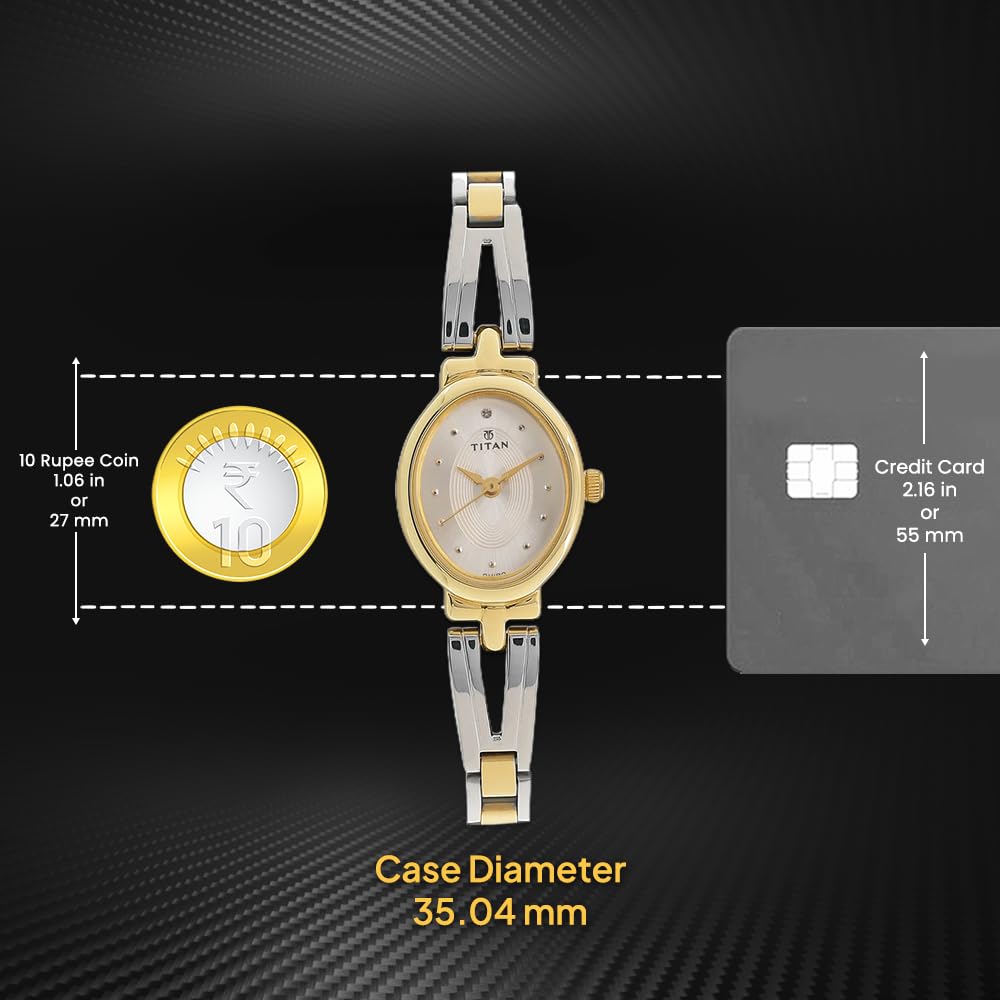 Titan Karishma Revive Analog Silver Dial Women's Watch NM2594BM01 / NL2594BM01