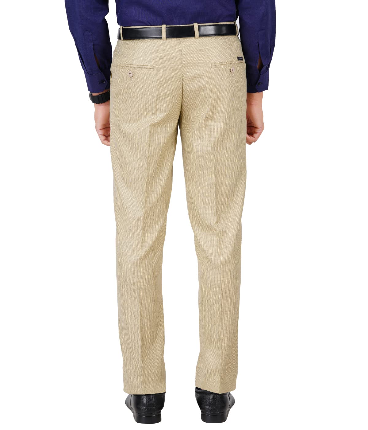 Mc Henry Men's Stretchable Self Design Light Beige Formal Regular Fit Trousers(LLBEIGE3804-34_Colour-Light Beige_Size:34)