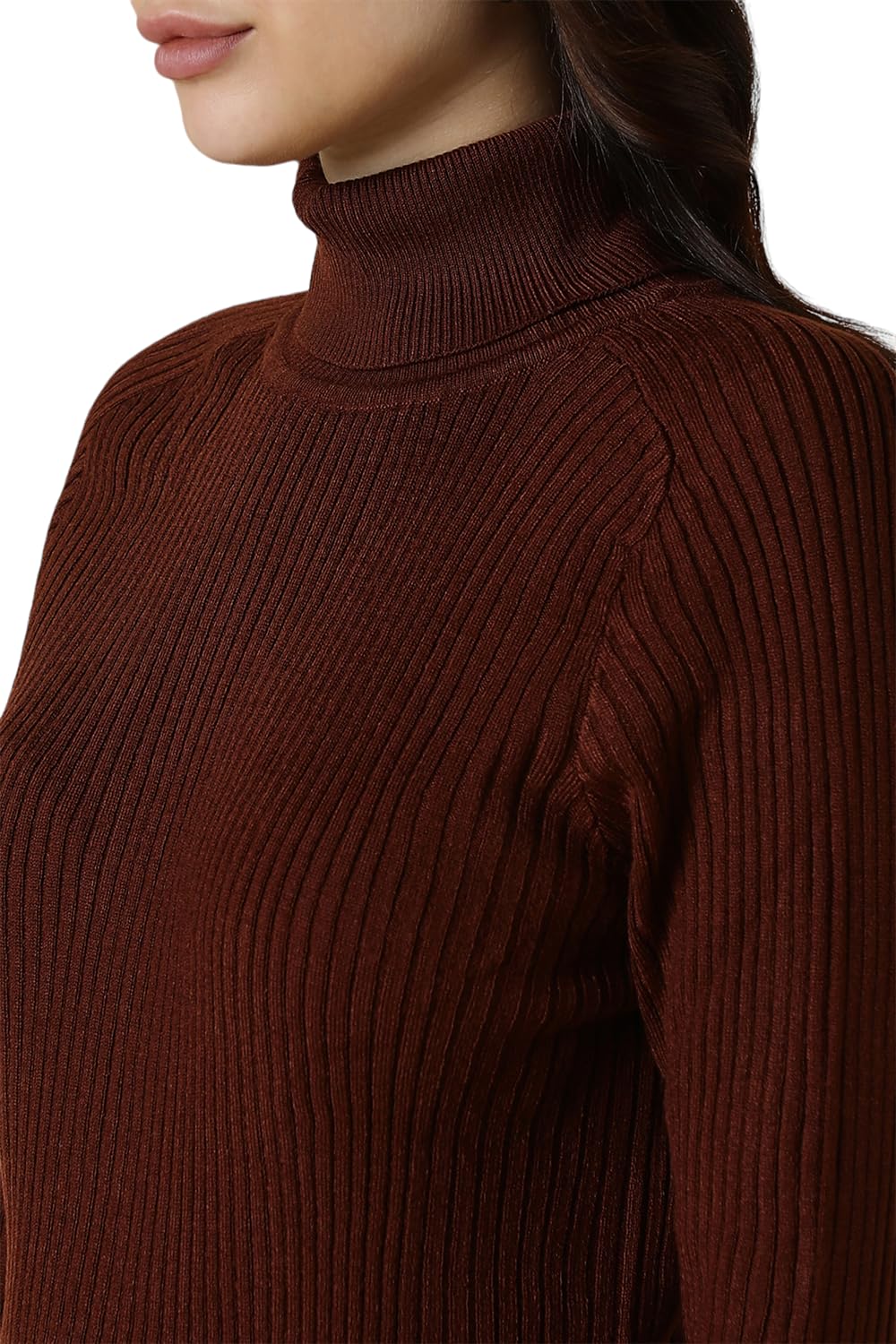 Allen Solly Women Brown Stripe Turtle Neck Casual Sweater