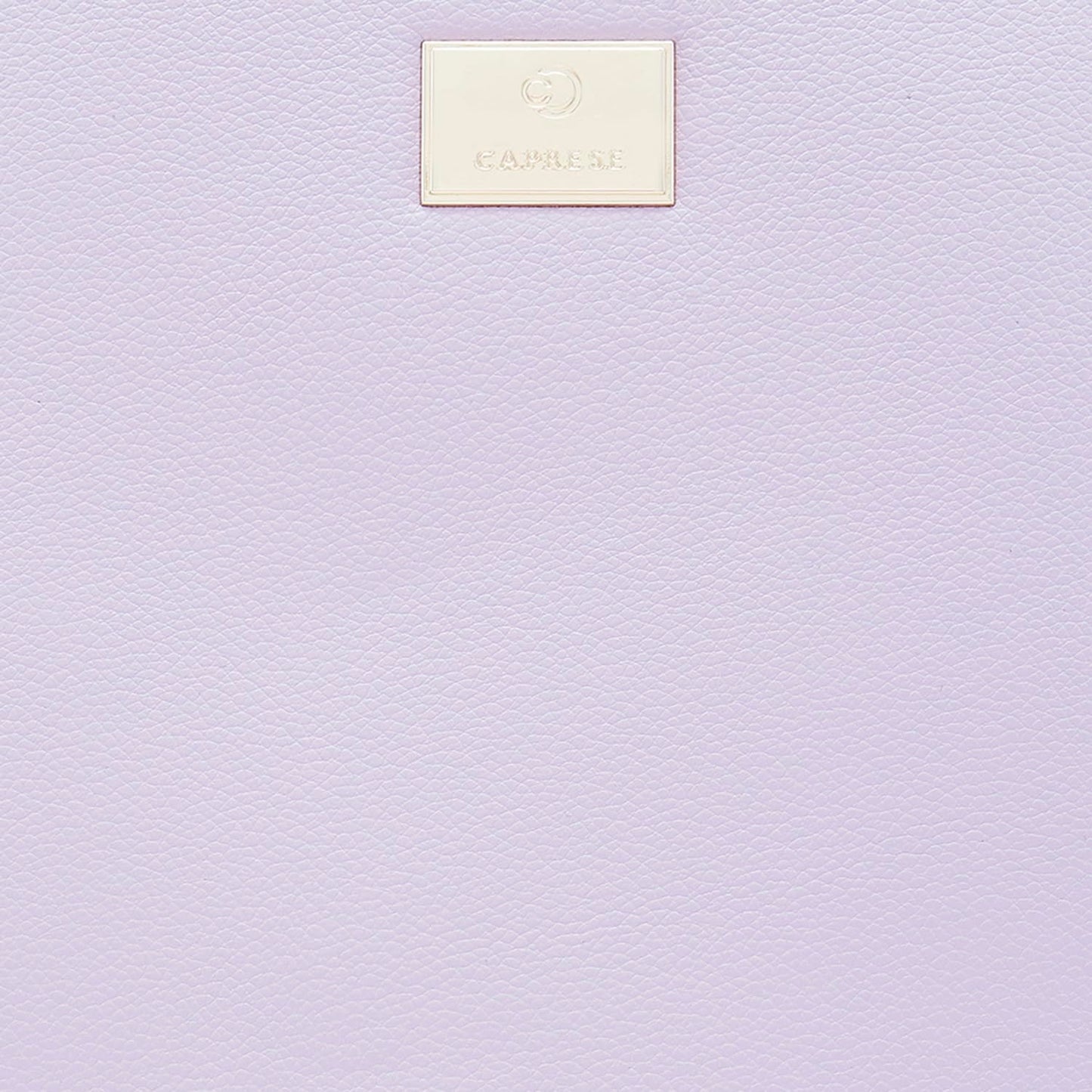 Caprese Linz Casual Backpack, Medium | Fashion Backpack for Women with Adjustable Shoulder Strap & Secure Zip Closure | Spacious, Versatile for Everyday Outings and Travel (Violet)