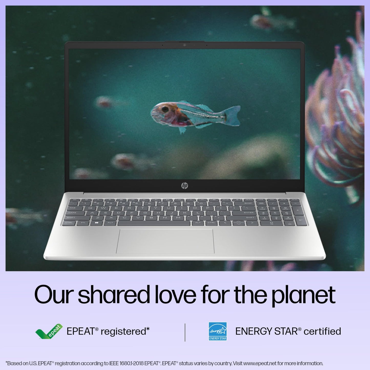 HP 15 Intel Core i3 13th Gen (8GB Ram/512GB SSD/Fhd/Ms Office 21/Full Size Keyboard/15.6-Inch (39.6 Cm)/ Windows 11/Silver/1.59 Kg) Fd0186Tu Laptop