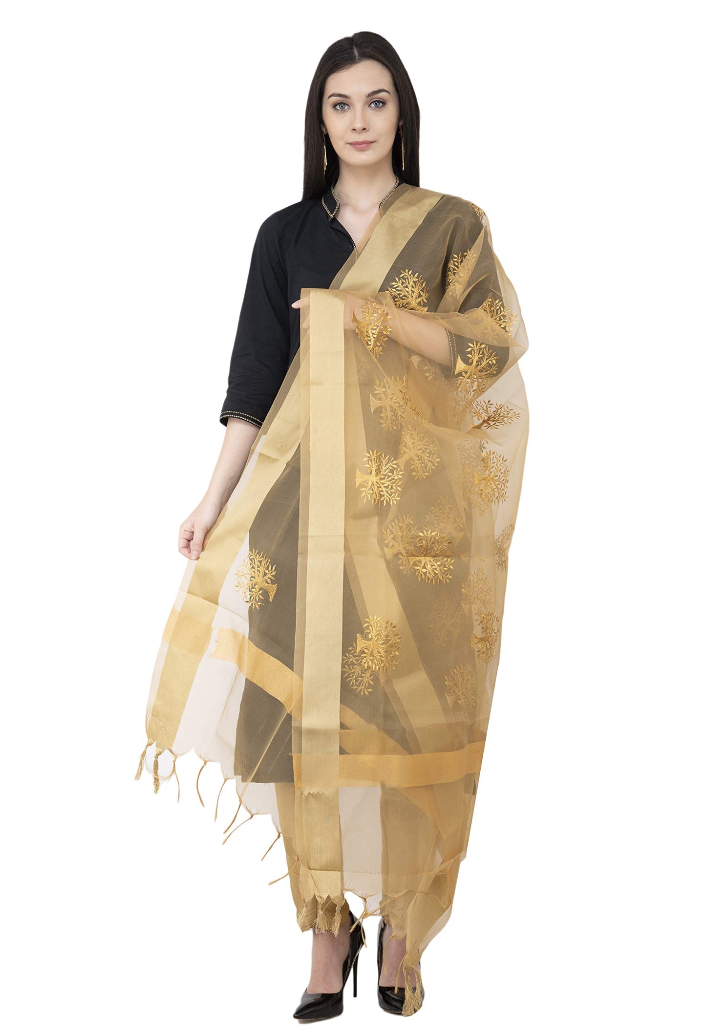 A R Silk Women's Embroidered Tissue Silk Dupatta, Free Size
