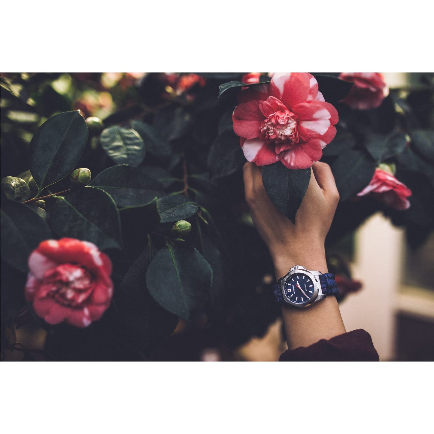 Victorinox Leather I.N.O.X. Analog Blue Dial Women Watch-241770, Blue Band