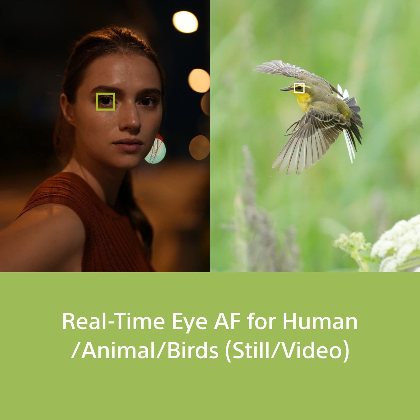 Sony Alpha ILCE-7M4K Full-Frame Hybrid Camera 33MP Interchangeable-Lens Mirrorless Camera with 28-70mm Digital Zoom Lens | 4K 60P Video Recording | Real-Time Eye AF for Humans, Birds, Animals - Black