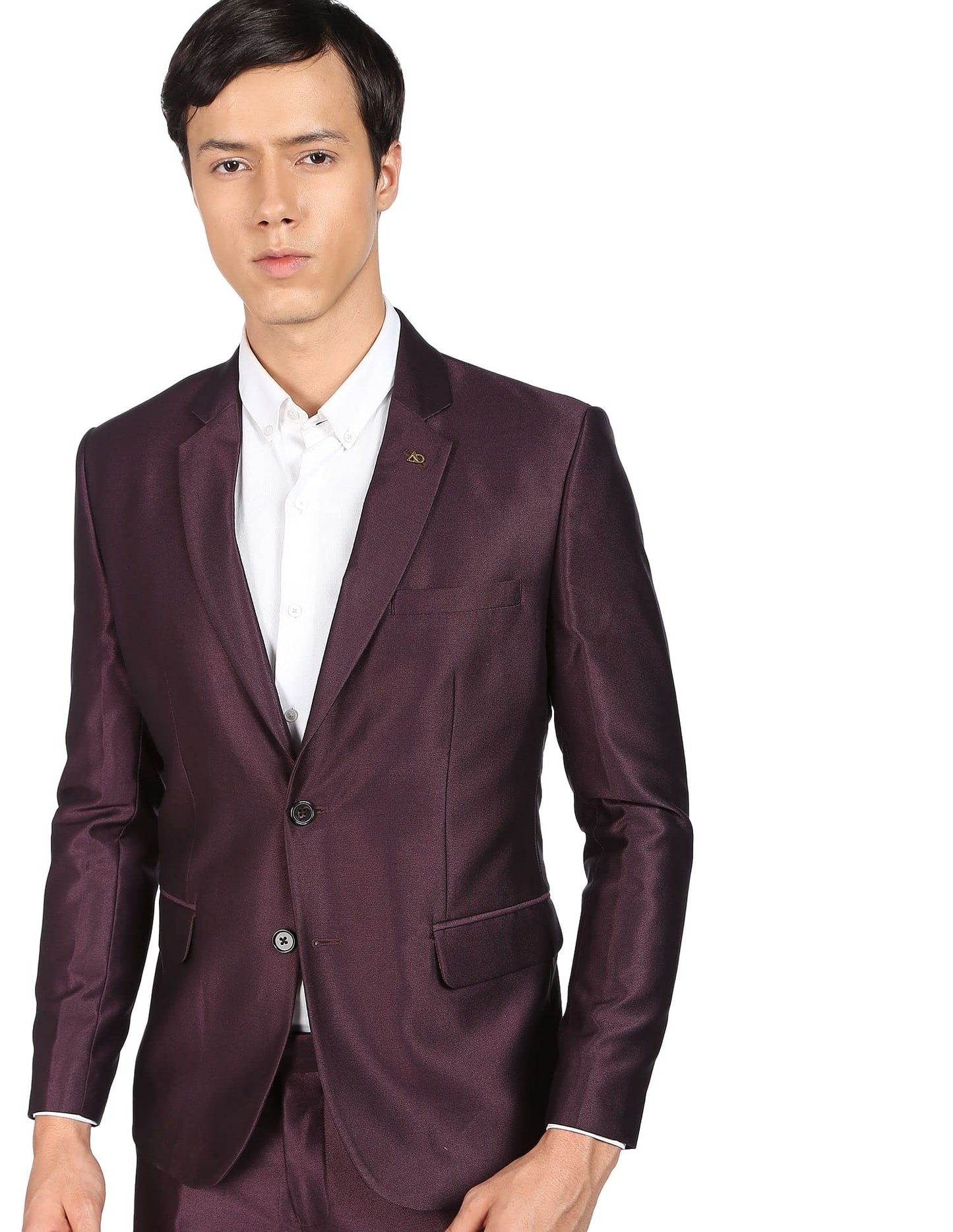 Arvind Men Wine Single Breasted Two Piece Suit