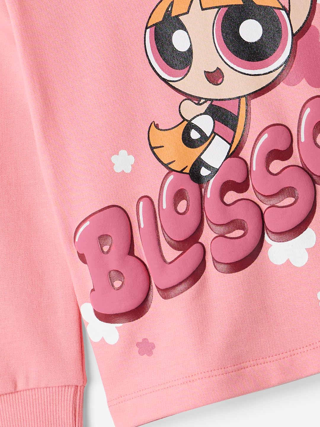 The Souled Store Official Powerpuff Girls: Girl Power Blossom Girls Pink Graphic Printed Regular Fit Cotton Full Sleeve T-Shirts