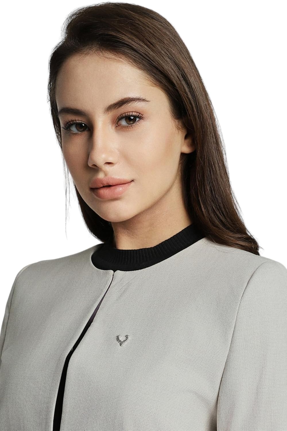 Allen Solly Women's Blazer (AHBZCRGF129185_Grey