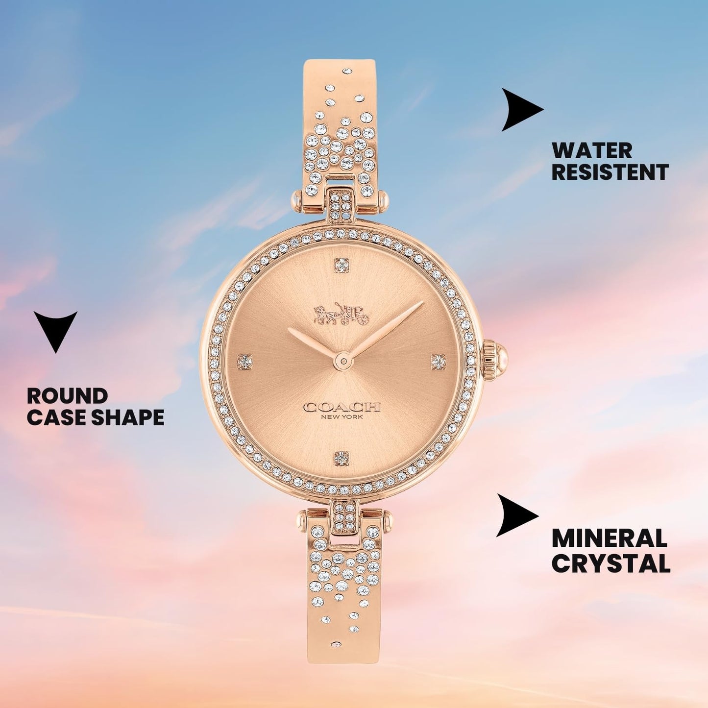 COACH Analog Gold Dial Women's Watch-14503651