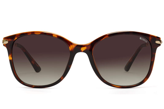 ENRICO Luxiena Style, Polycarbonate UV Protected, Butterfly Shape, Full Rim Demi Color Sunglasses | Ideal for Women