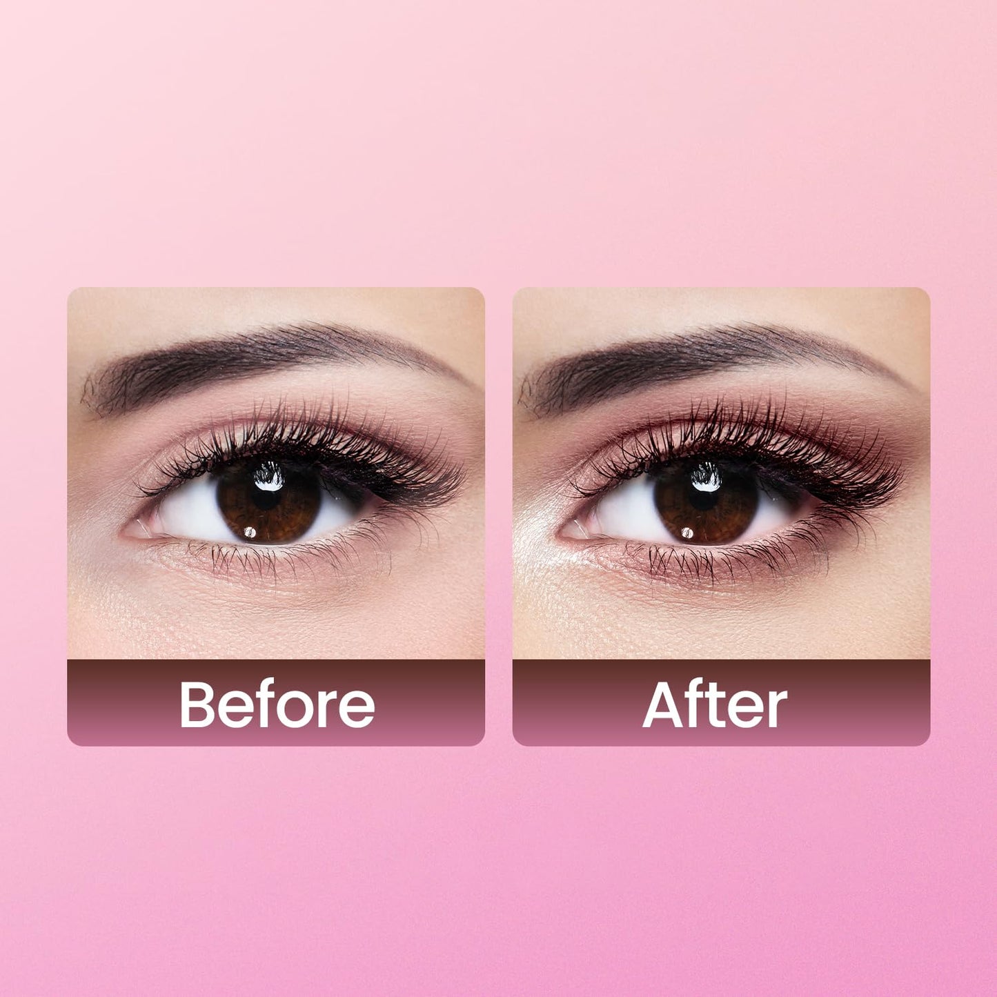 Swiss Beauty Face and Eye Dual Passport Palette | Eyeshadow + Blusher Palette | Combination of Mattes and Shimmers | Compact and Travel Friendly makeup kit | Shade- Everyday, 4.5g