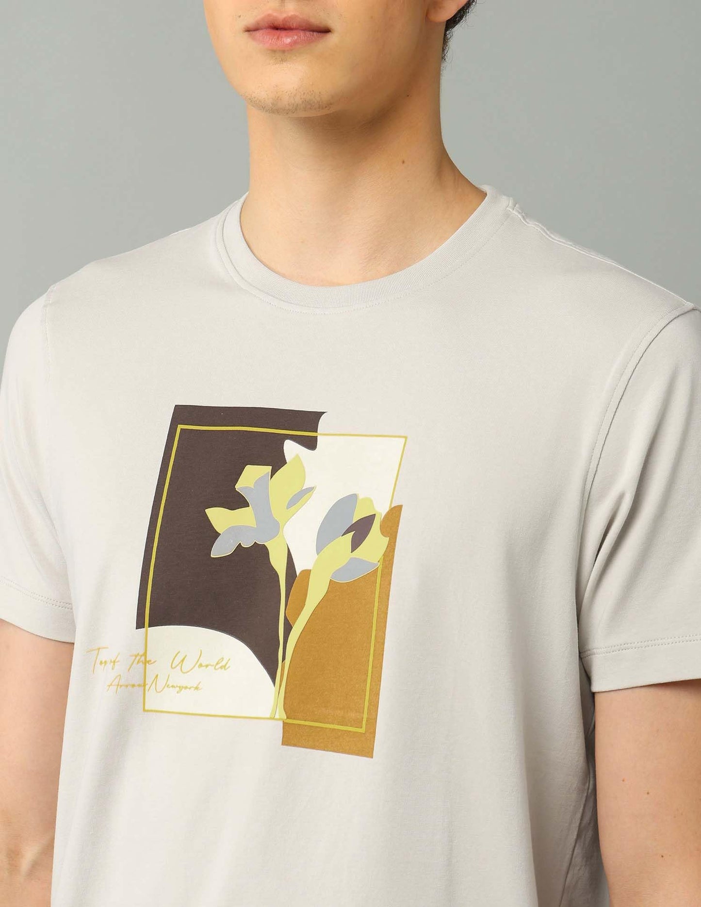 Arrow New York Men's Regular Fit T-Shirt (ANAJTS3114_Stone