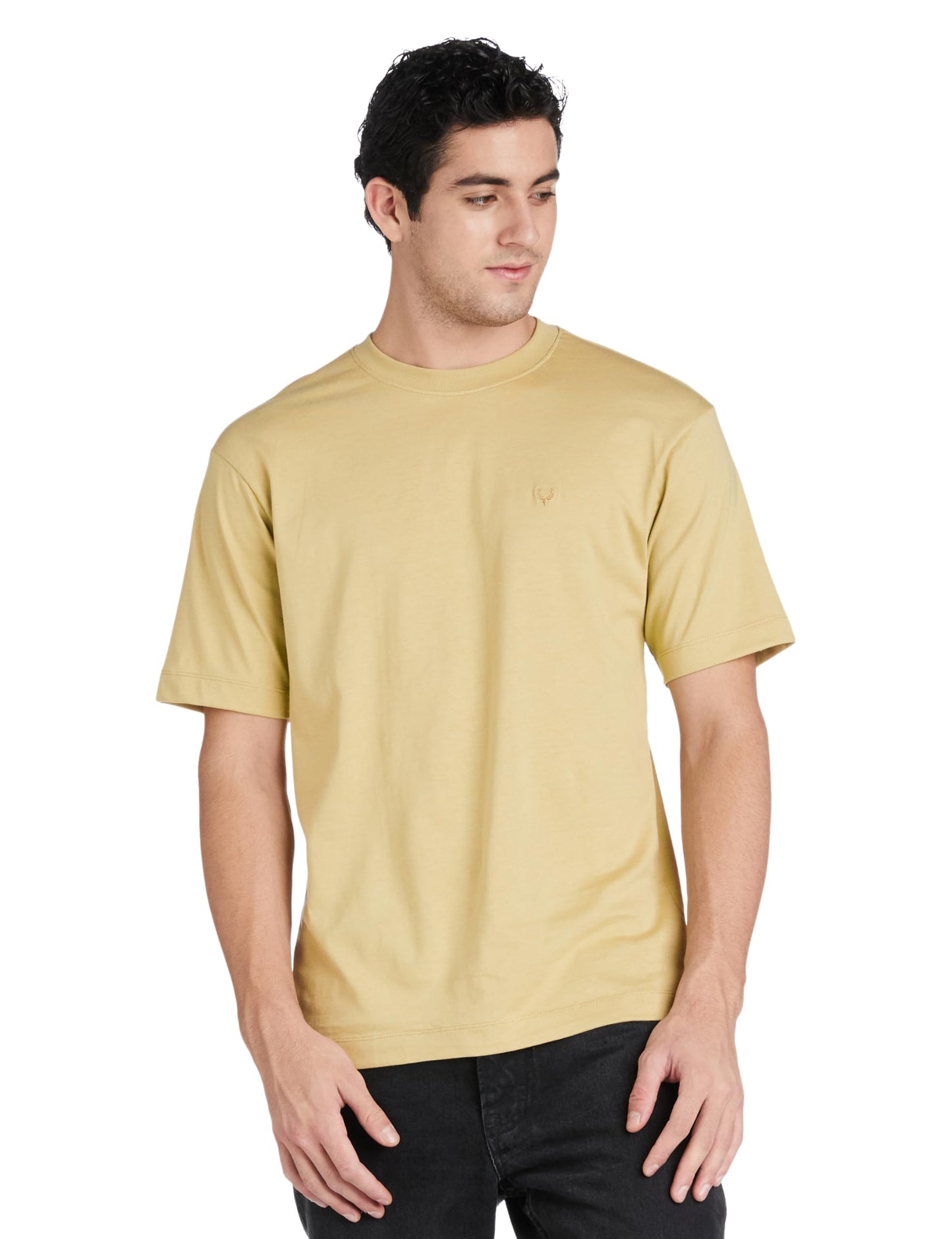Allen Solly Men's Oversized Fit T-Shirt (ALKCADSF623862_Green
