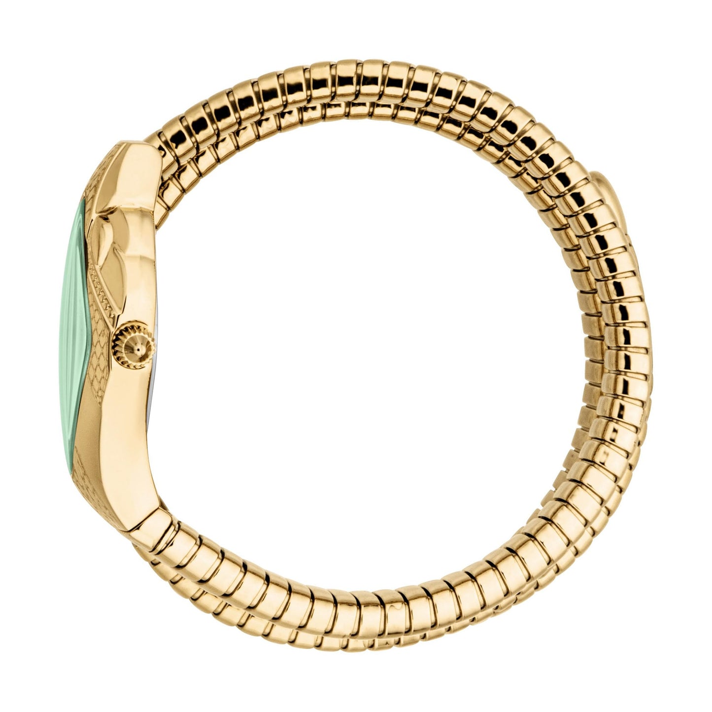 Just Cavalli Cristallo Analogue Women Watch JC1L307M0035