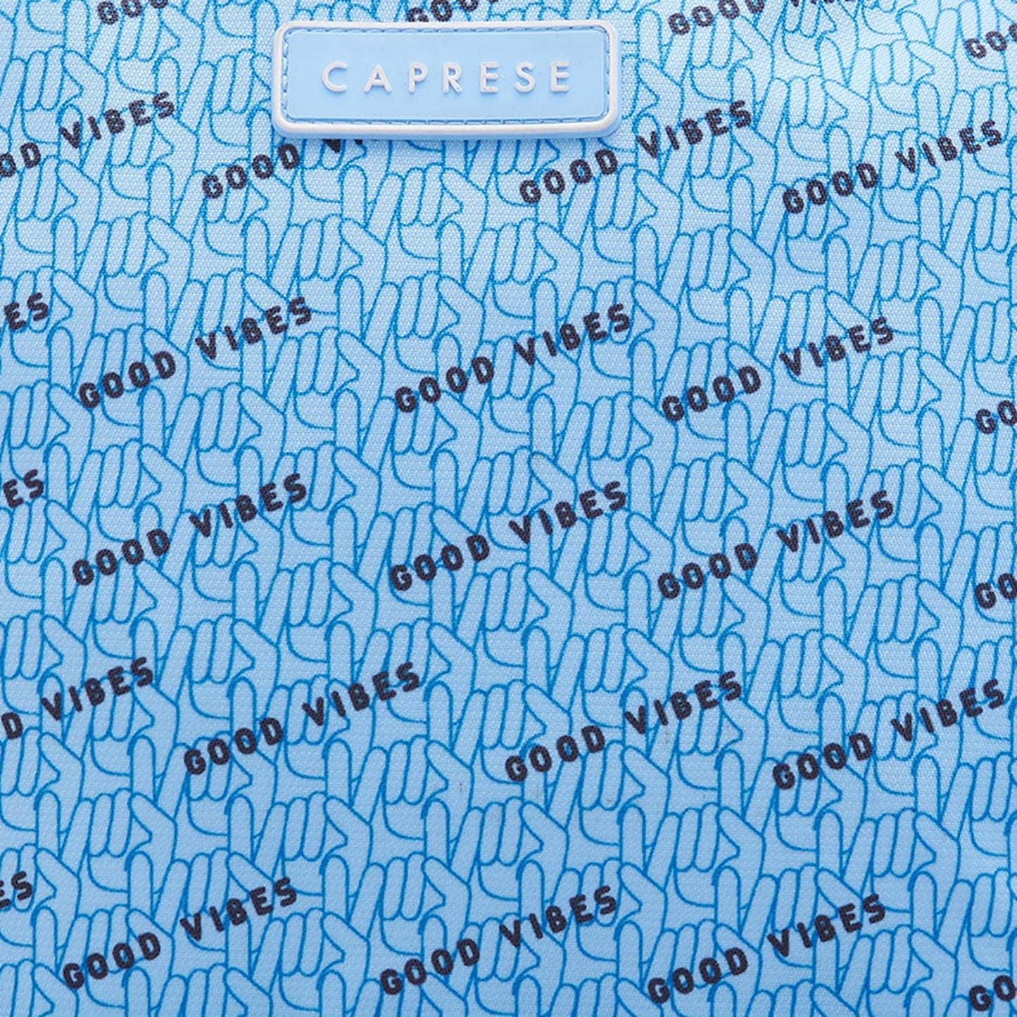 Caprese Zoe Laptop Backpack, X-Large | Backpack for Women with Multi-Compartments and Secure Zip Closure (Light Blue)