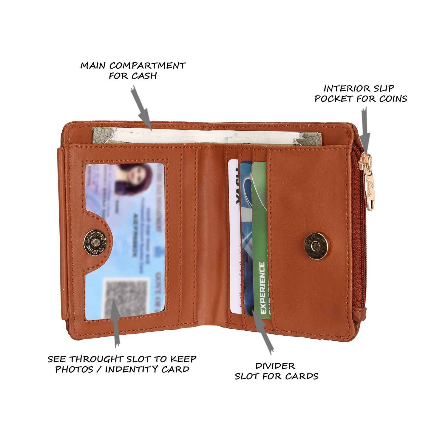 Lavie Women's Small Bifold Purse | Ladies 2 Fold Wallet