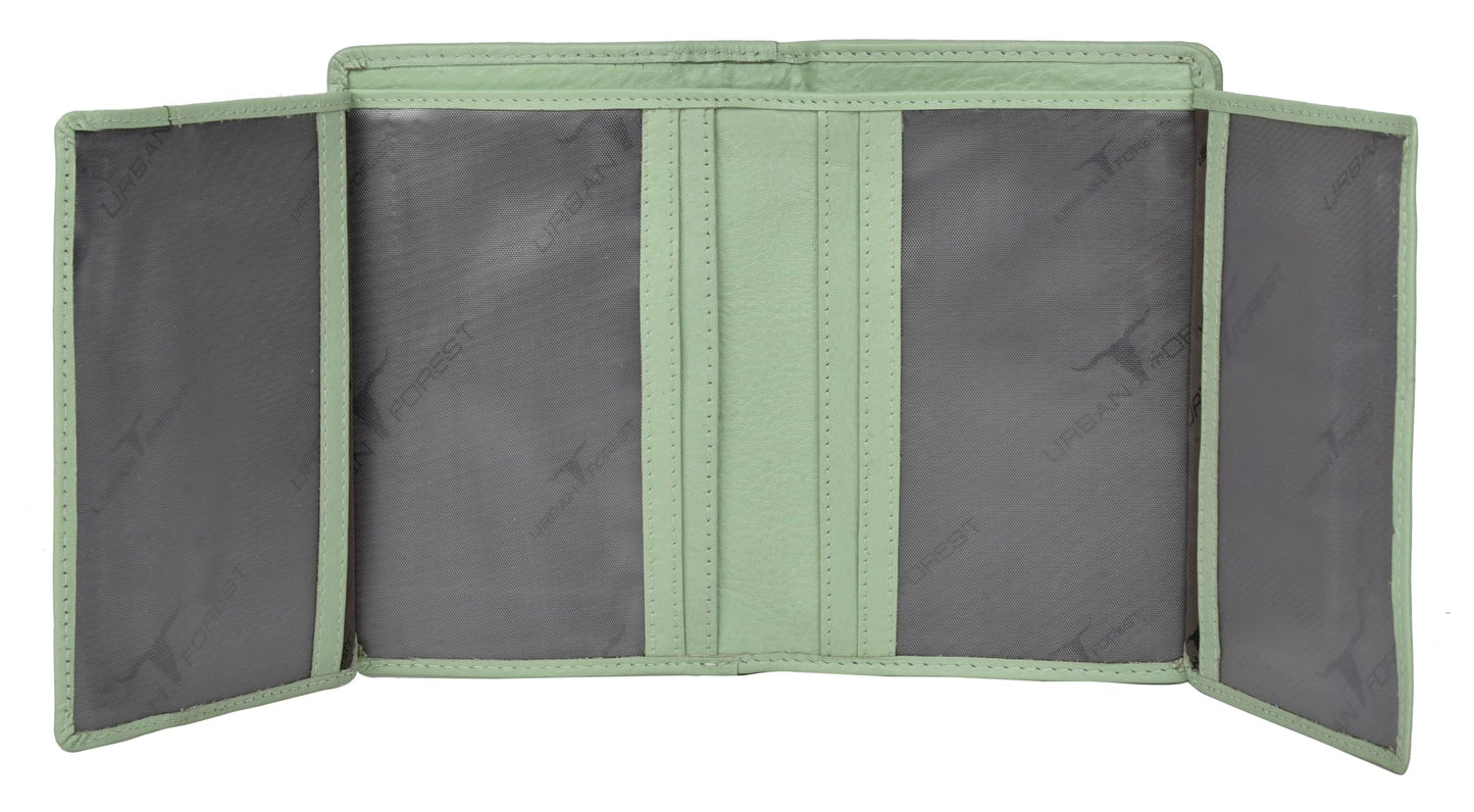 URBAN FOREST Arya Mint Green Leather Wallet for Women