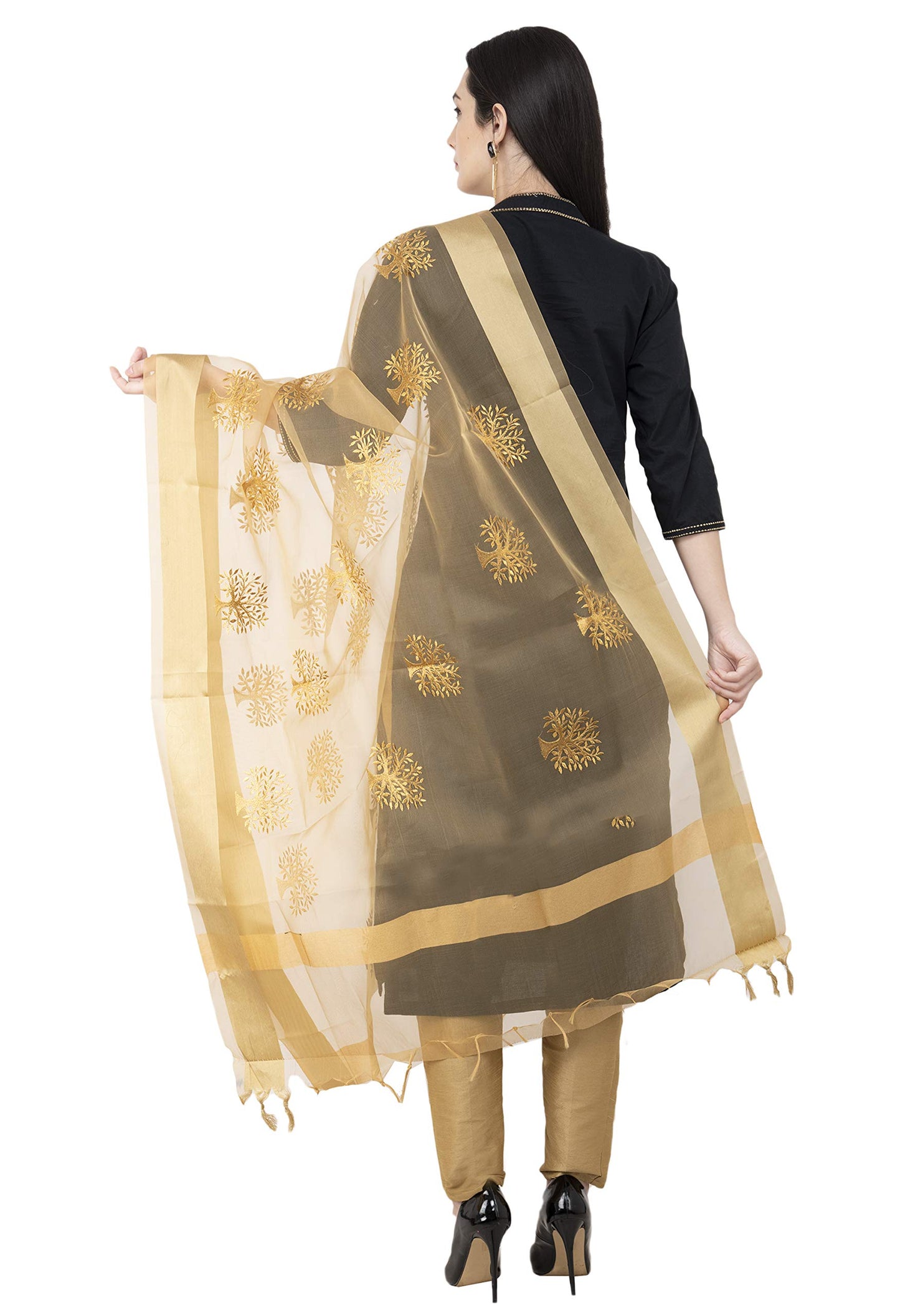 A R Silk Women's Embroidered Tissue Silk Dupatta, Free Size