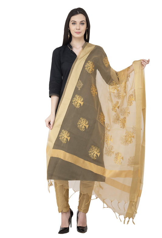 A R Silk Women's Embroidered Tissue Silk Dupatta, Free Size
