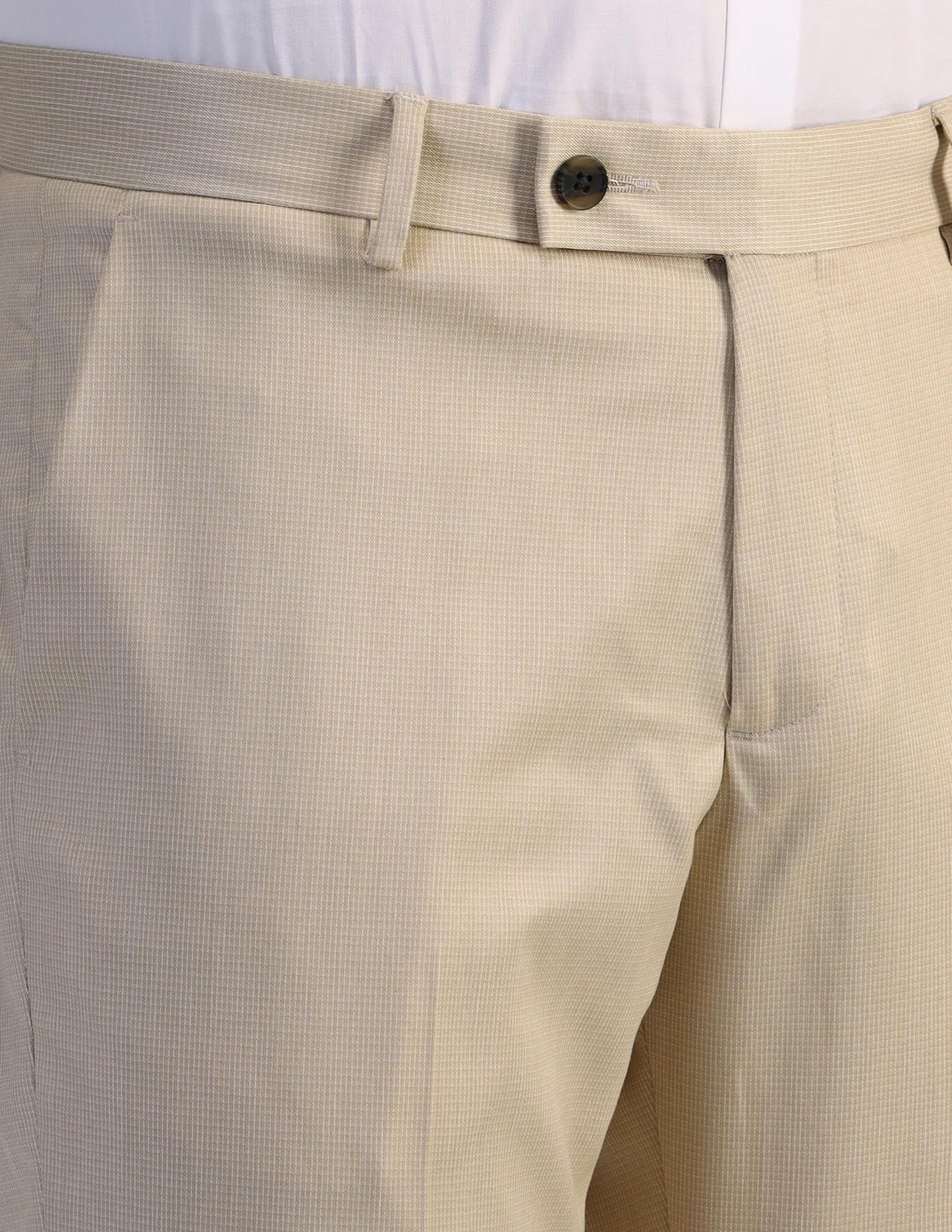 Arrow Men's Beige Textured Mid Rise Polyester Button Tapered Fit Flat Front Slant Pocket Trousers (ARAEOTR1604_Beige_34)
