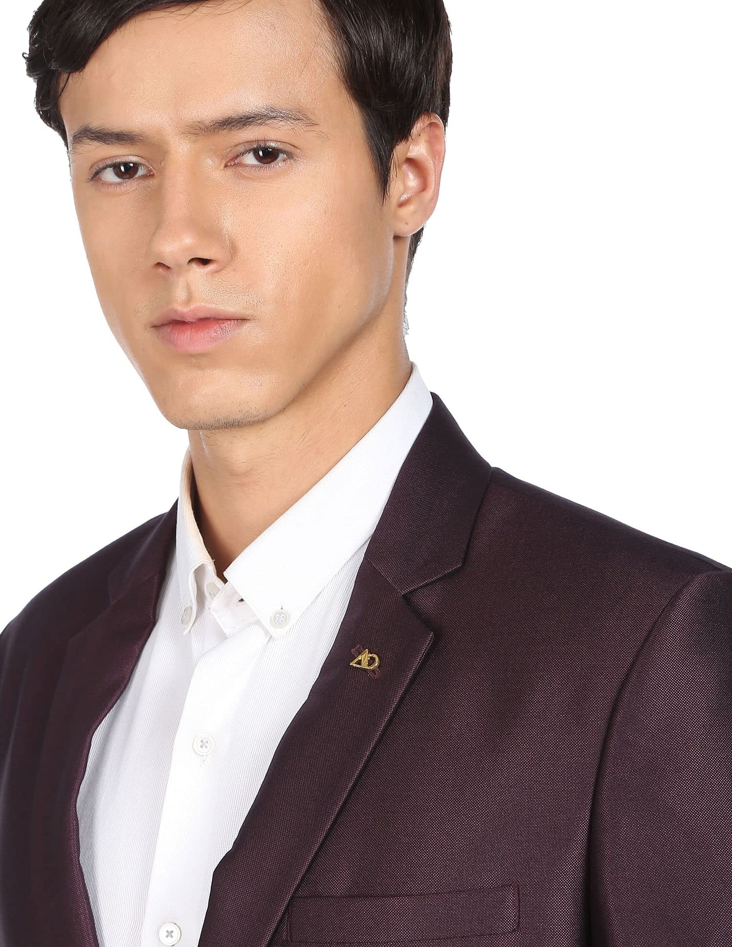 Arvind Men Wine Single Breasted Two Piece Suit