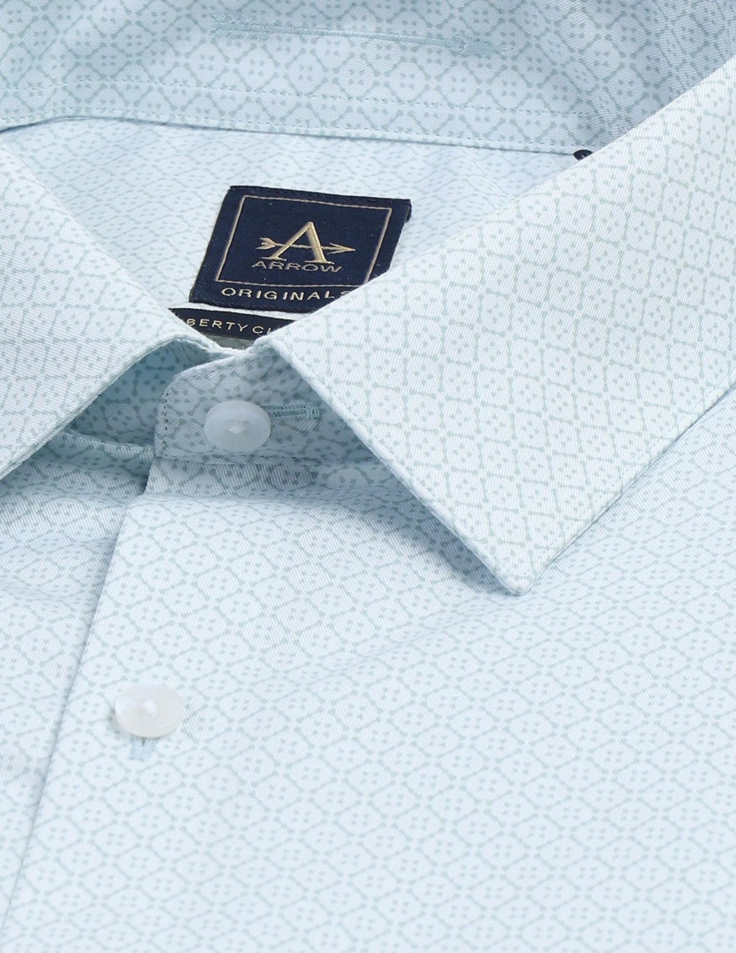 Arrow Regular Fit Twill Printed Shirt_ARAJSH0748_42 Light Green