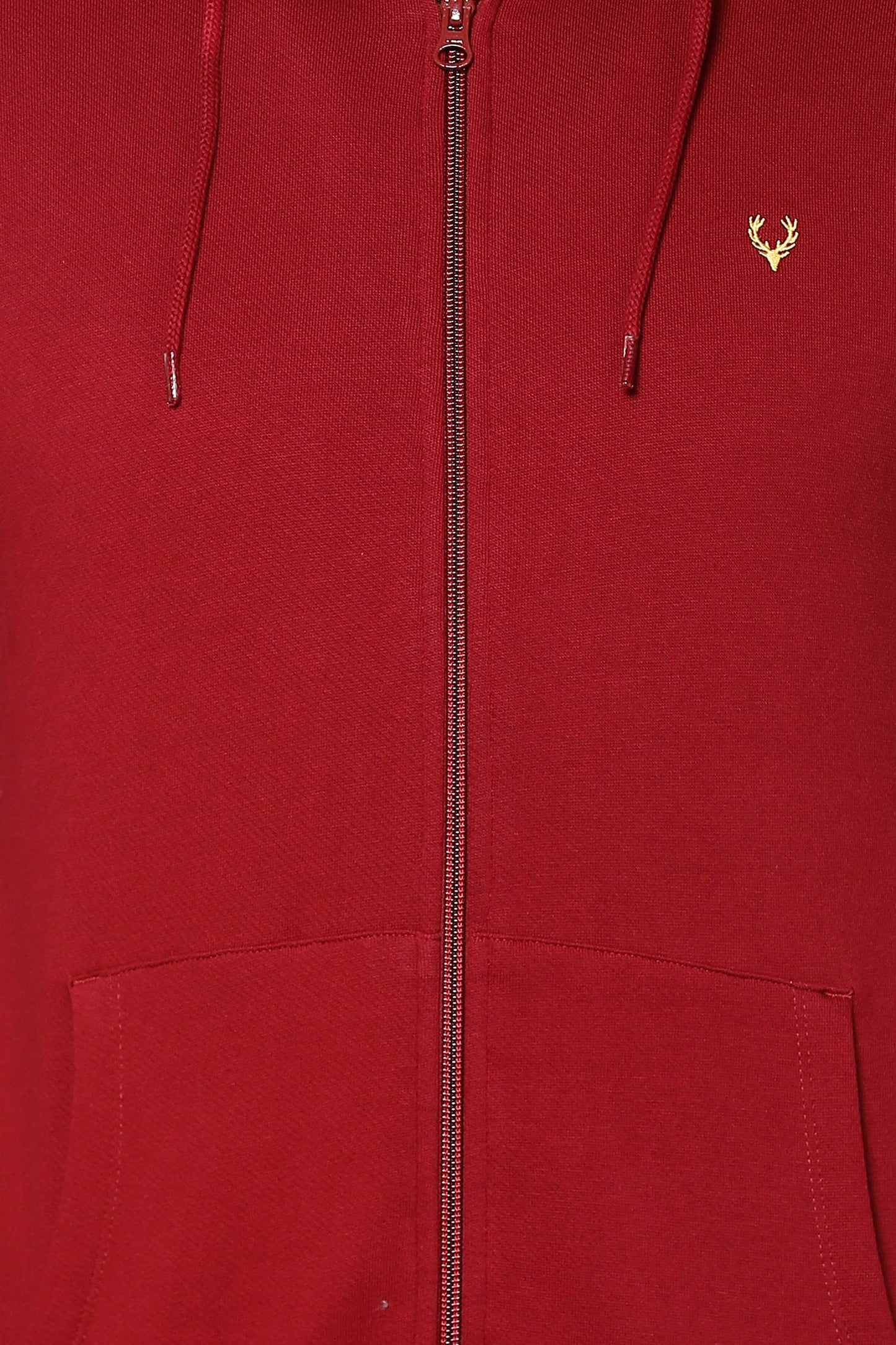 Allen Solly Men's Cotton Hooded Neck Sweatshirt (ASSTORGPU54830L_Maroon 19-1726 TCX_Maroon_L)