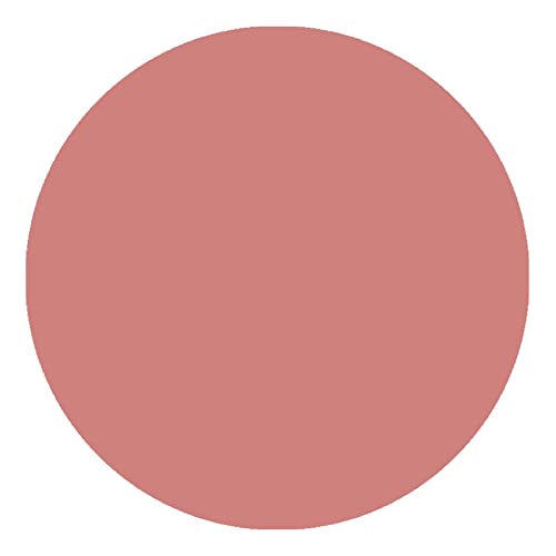 Color Chemistry Lip Gloss, 10 g (Maple LG03) SaumyasStore